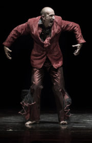 Animalie Giorgio Rossi